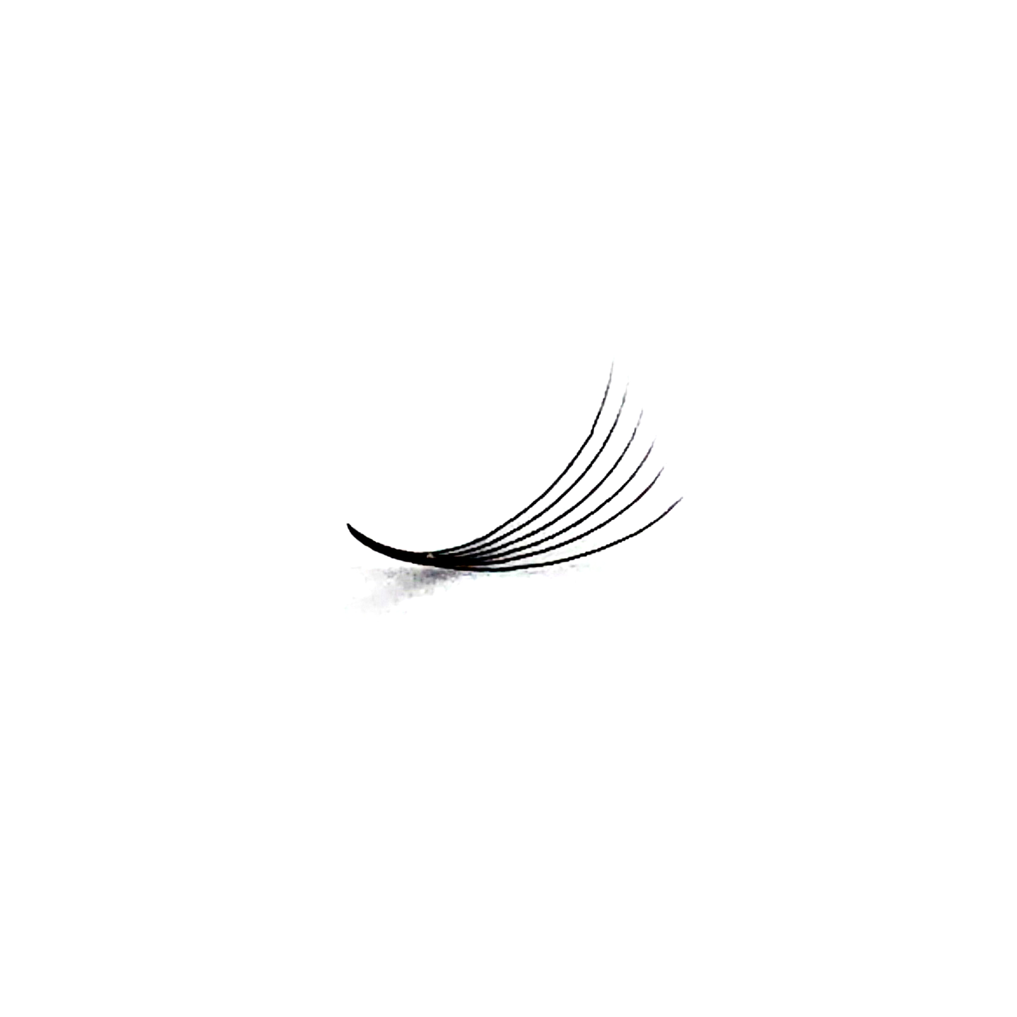 LUXURY 6D 0.07 LONG STEM VOLUME (1000 FAN TRAY)