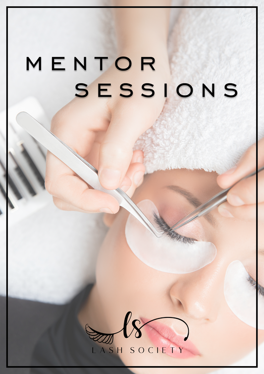 Mentor Sessions